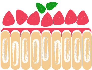 Charlotte-aux-fraises